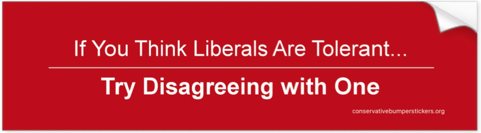 If You Think Liberals Are Tolerant Try Disagreeing with One - red bumper sticker